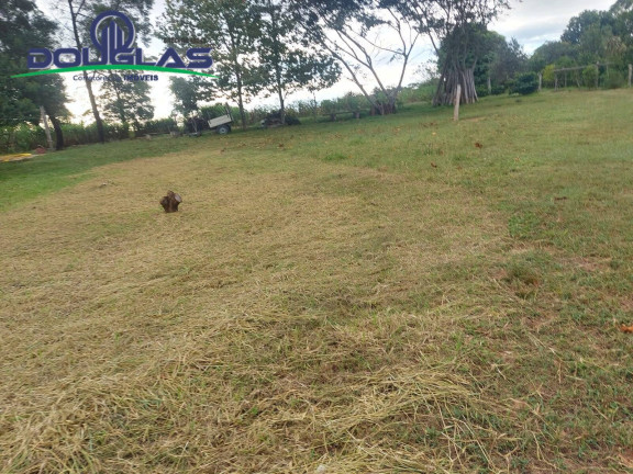 Imagem Chácara à Venda, 20.000 m² em Viamão Imagem Chácara à Venda, 20.000 m² em Viamão
