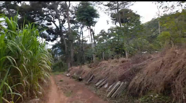 Imagem Chácara com 2 Quartos à Venda, 116 m² em Conselheiro Paulino - Nova Friburgo