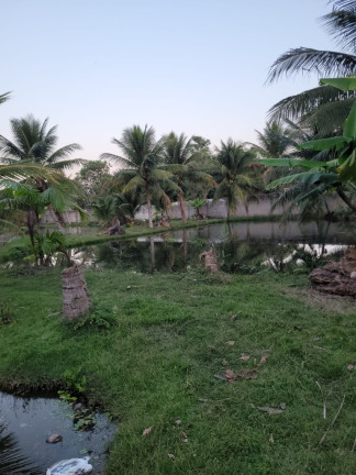Imagem Imóvel com 4 Quartos à Venda, em Camurugi - Guarapari Imagem Imóvel com 4 Quartos à Venda, em Camurugi - Guarapari