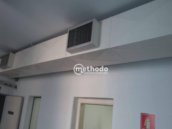 Imagem Casa com 9 Quartos para Alugar, 432 m² em Cambuí - Campinas Imagem Casa com 9 Quartos para Alugar, 432 m² em Cambuí - Campinas