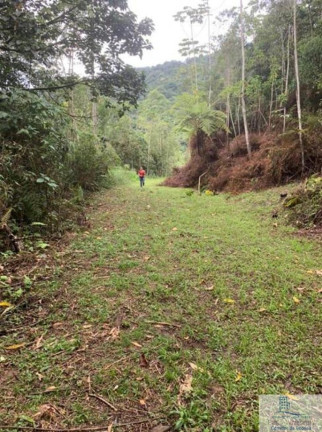 Imagem Chácara à Venda, 126.000 m² em Centro (rio Rosinha) - Rio Dos Cedros Imagem Chácara à Venda, 126.000 m² em Centro (rio Rosinha) - Rio Dos Cedros