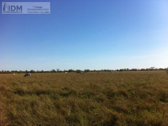 Imagem Chácara à Venda, 300.000.000 m² em Centro - Luciára Imagem Chácara à Venda, 300.000.000 m² em Centro - Luciára