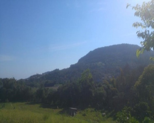 Imagem Terreno à Venda, 40 m² em Lichthenthal - Picada Café