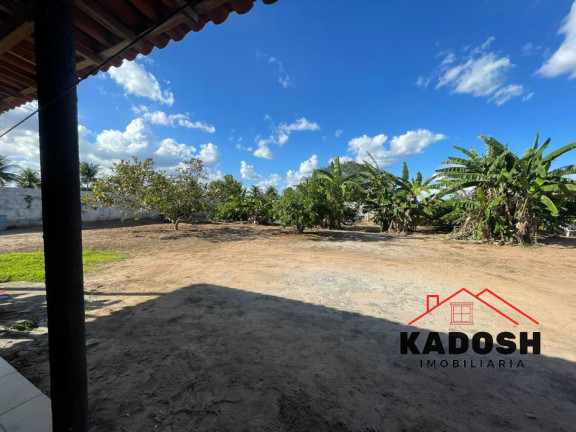 Imagem Imóvel com 3 Quartos à Venda, 4.400 m² em Limoeiro - Feira De Santana