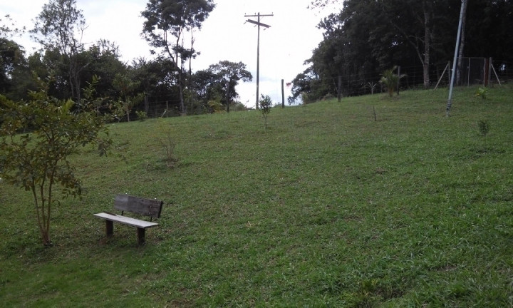 Imagem Chácara com 3 Quartos à Venda, 3 m² em Mascate - Nazaré Paulista