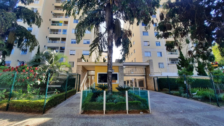 Imagem Apartamento com 3 Quartos à Venda, 60 m² em Santa Efigênia - Belo Horizonte Imagem Apartamento com 3 Quartos à Venda, 60 m² em Santa Efigênia - Belo Horizonte