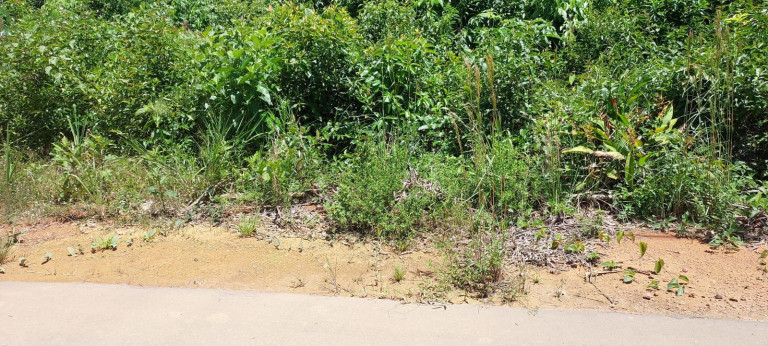 Imagem Chácara à Venda, 1.500 m² em Centro - Iranduba Imagem Chácara à Venda, 1.500 m² em Centro - Iranduba
