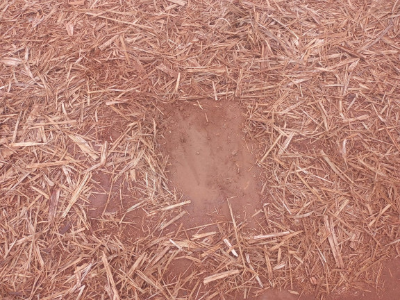 Imóvel à Venda, 18 m² em área Rural De Ribeirão Preto - Ribeirão Preto