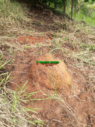 Imagem Chácara à Venda, 750 m² em Sob. Consulta - Paraibuna Imagem Chácara à Venda, 750 m² em Sob. Consulta - Paraibuna