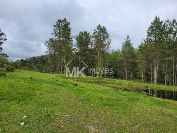 Imagem Chácara com 2 Quartos à Venda, 90 m² em Monte Alegre - Quatro Barras Imagem Chácara com 2 Quartos à Venda, 90 m² em Monte Alegre - Quatro Barras