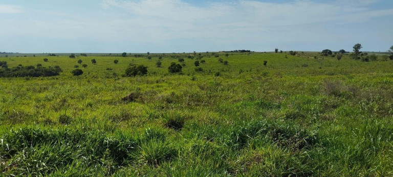Imóvel à Venda, 342 m² em Area Rural De Sonora - Sonora