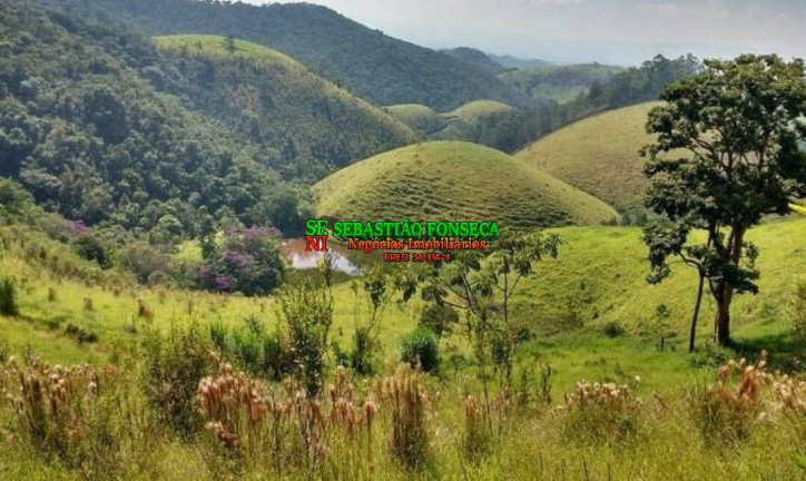 Imagem Fazenda à Venda, 164 m² em Sob. Consulta - Caçapava Imagem Fazenda à Venda, 164 m² em Sob. Consulta - Caçapava