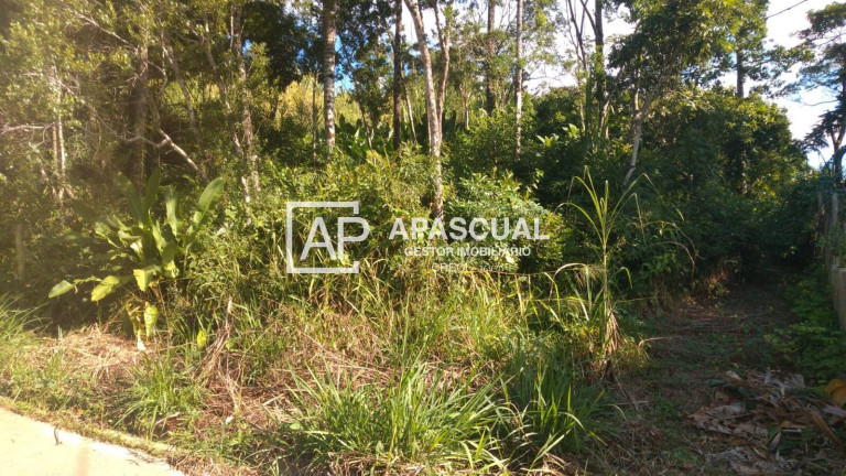 Terreno à Venda, 394 m² em Massaguaçu - Caraguatatuba