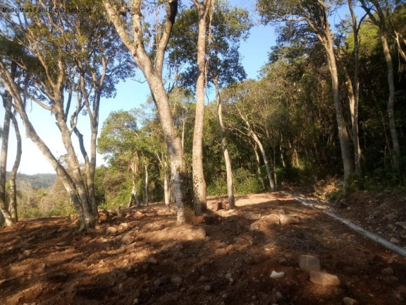 Imagem Terreno à Venda, 2.203 m² em Pousada Da Neve - Nova Petrópolis Imagem Terreno à Venda, 2.203 m² em Pousada Da Neve - Nova Petrópolis