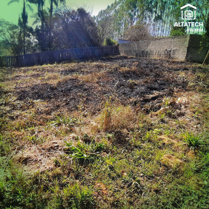 Imagem Imóvel com 3 Quartos à Venda, 18.900 m² em Afonso (rural) - Bandeira Do Sul