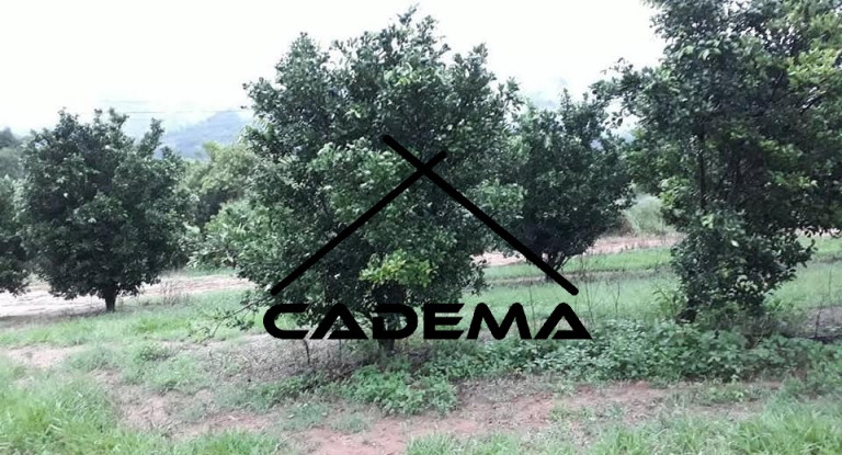 Imagem Chácara com 4 Quartos à Venda, 92 m² em Area Rural - São Gonçalo Do Sapucaí