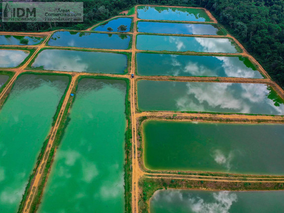 Imagem Chácara à Venda, 862.000 m² em Centro - Manaus Imagem Chácara à Venda, 862.000 m² em Centro - Manaus