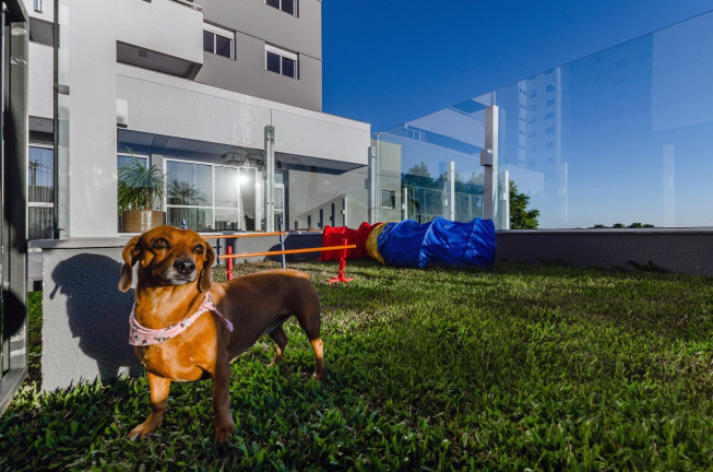 Imagem Apartamento com 3 Quartos à Venda, 91 m² em Panazzolo - Caxias Do Sul Imagem Apartamento com 3 Quartos à Venda, 91 m² em Panazzolo - Caxias Do Sul