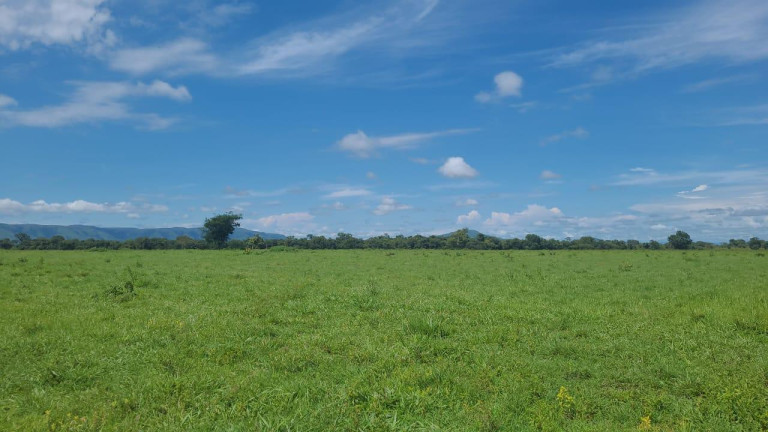 Imagem Fazenda à Venda, 1.352 m² em Rural - Vila Boa Imagem Fazenda à Venda, 1.352 m² em Rural - Vila Boa