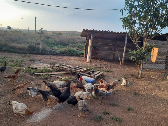 Imagem Chácara com 4 Quartos à Venda, 150 m² em área Rural De Anápolis - Anápolis