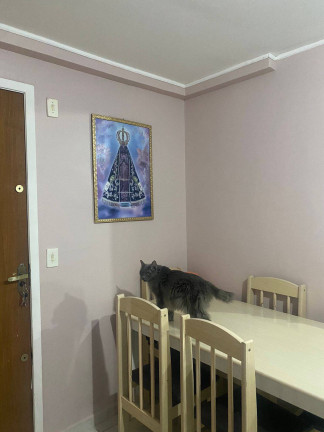 Imagem Apartamento com 2 Quartos à Venda, 43 m² em Rio Pequeno - São José Dos Pinhais