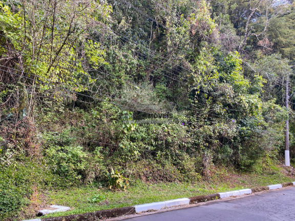 Imagem Terreno à Venda, 1 m² em Alto Capivari - Campos Do Jordão Imagem Terreno à Venda, 1 m² em Alto Capivari - Campos Do Jordão
