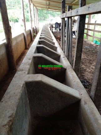 Imagem Chácara à Venda, 14 m² em área Rural De Guaratinguetá - Guaratinguetá Imagem Chácara à Venda, 14 m² em área Rural De Guaratinguetá - Guaratinguetá