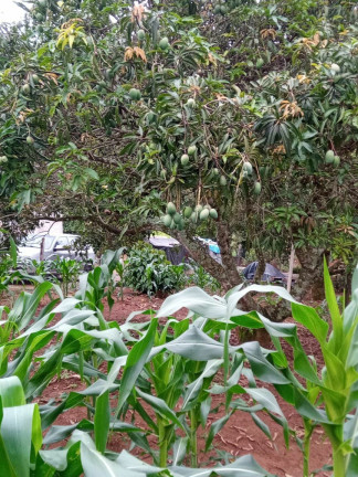 Imagem Imóvel à Venda, 1.400 m² em Boa Vista Dos Silva - Bragança Paulista Imagem Imóvel à Venda, 1.400 m² em Boa Vista Dos Silva - Bragança Paulista