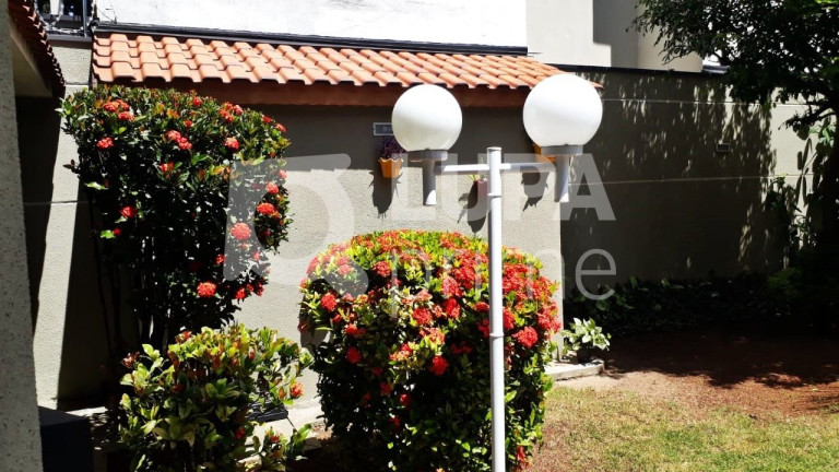 Imagem Casa com 2 Quartos à Venda, 160 m² em Vila Gustavo - São Paulo Imagem Casa com 2 Quartos à Venda, 160 m² em Vila Gustavo - São Paulo