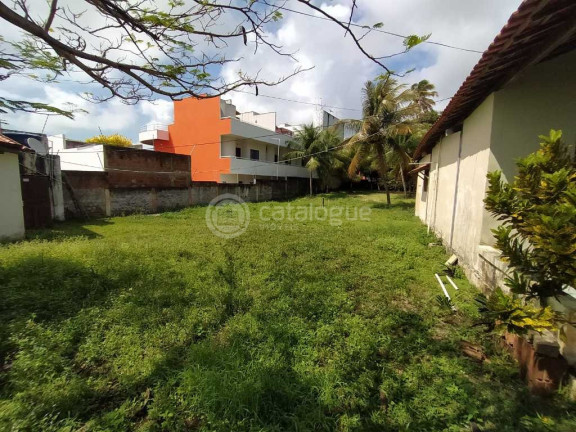 Terreno à Venda, 6.225 m² em Barra De Tabatinga - Nísia Floresta