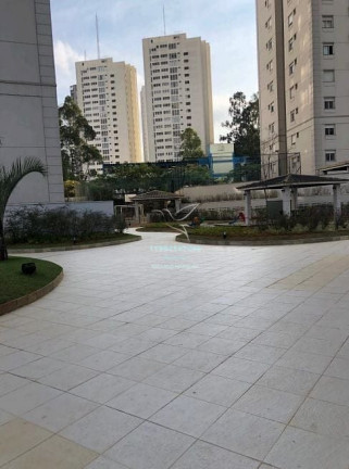 Imagem Apartamento com 3 Quartos à Venda, 64 m² em Vila Suzana - São Paulo Imagem Apartamento com 3 Quartos à Venda, 64 m² em Vila Suzana - São Paulo