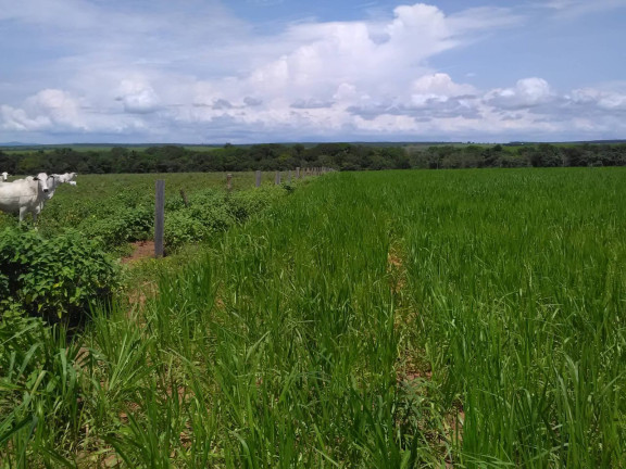 Imagem Imóvel à Venda,  em Região  De Guaraí - Guaraí
