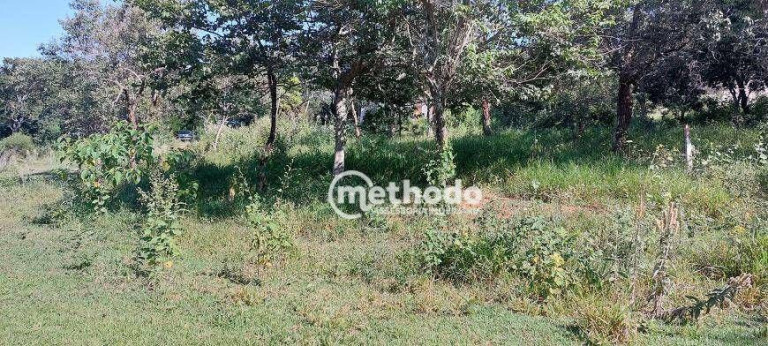 Imagem Chácara com 2 Quartos à Venda, 300 m² em Sousas - Campinas Imagem Chácara com 2 Quartos à Venda, 300 m² em Sousas - Campinas