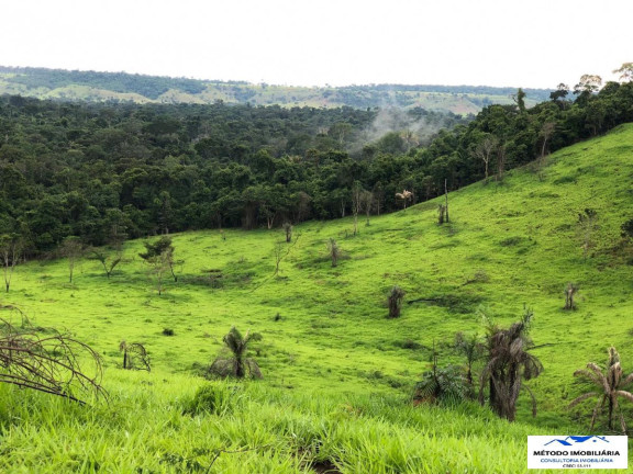 Imagem Fazenda à Venda, 1.050 m² em Rural - Juína Imagem Fazenda à Venda, 1.050 m² em Rural - Juína