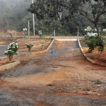 Imagem Imóvel com 5 Quartos à Venda, 24.000 m² em Paraopeba - Paraopeba