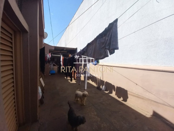 Imagem Casa com 3 Quartos à Venda, 258 m² em Campos Elíseos - Ribeirão Preto