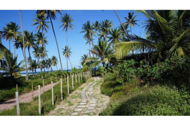 Imagem Terreno à Venda, 544 m² em Praia Do Forte - Mata De São João Imagem Terreno à Venda, 544 m² em Praia Do Forte - Mata De São João