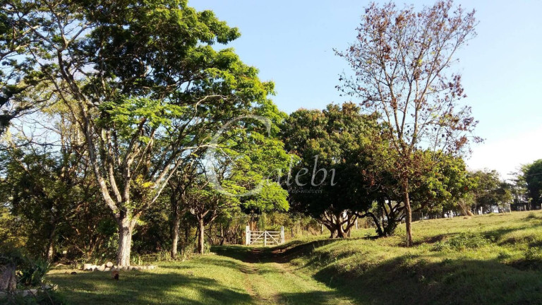 Imagem Chácara com 3 Quartos à Venda, 43.000 m² em Artur Nogueira