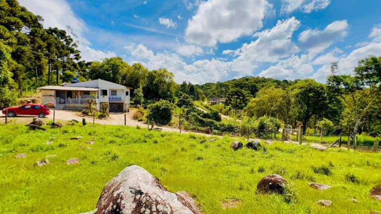 Imagem Chácara à Venda, 9.700 m² em Rio Da Várzea - Quitandinha Imagem Chácara à Venda, 9.700 m² em Rio Da Várzea - Quitandinha