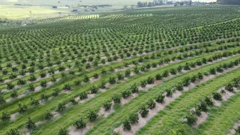 Imagem Fazenda à Venda, 121 m² em Rio Pardo - águas De Santa Bárbara