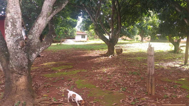 Imagem Chácara à Venda, 6.000 m² em Zona Rural - Brasília Imagem Chácara à Venda, 6.000 m² em Zona Rural - Brasília