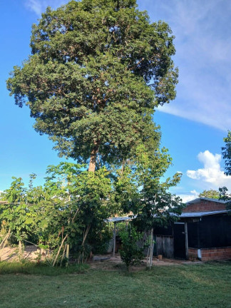 Imagem Chácara à Venda, 35 m² em Arapongas