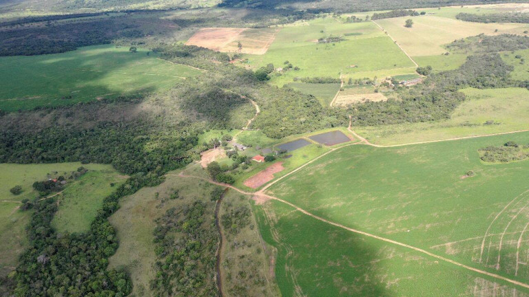 Imagem Fazenda à Venda, 390.000 m² em Santa Cruz De Goiás