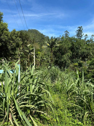 Imagem Chácara com 5 Quartos à Venda, 300 m² em Pedra De amolar - Corupá Imagem Chácara com 5 Quartos à Venda, 300 m² em Pedra De amolar - Corupá