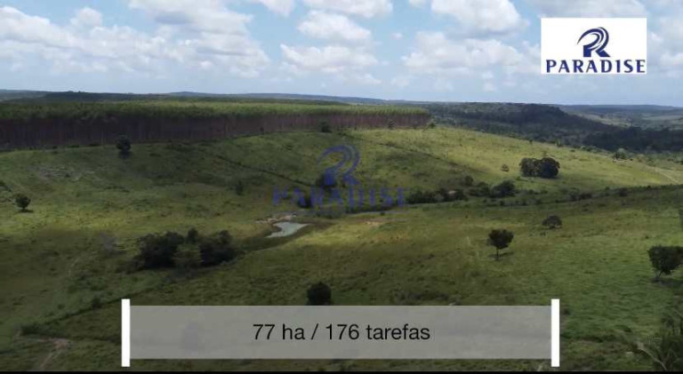 Imagem Fazenda à Venda, 766.000 m² em Zona Rural - Cardeal Da Silva Imagem Fazenda à Venda, 766.000 m² em Zona Rural - Cardeal Da Silva