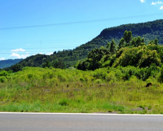 Imagem Imóvel à Venda,  em Linha Araripe - Nova Petrópolis