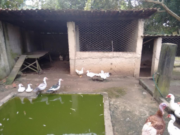 Imagem Imóvel com 3 Quartos à Venda, 3.992 m² em Aldeia - Camaragibe