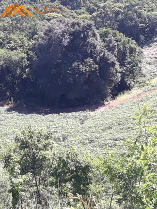 Imagem Terreno à Venda, 6 m² em Costa De Baixo - Imarui Imagem Terreno à Venda, 6 m² em Costa De Baixo - Imarui