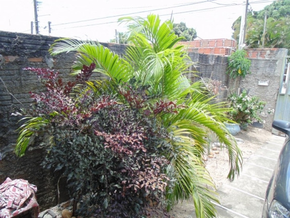 Casa com 3 Quartos à Venda, 263 m² em Santa Tereza - Parnamirim