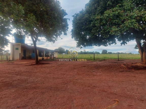 Imagem Imóvel com 3 Quartos à Venda, 45.500 m² em Zona Rural - Minaçu Imagem Imóvel com 3 Quartos à Venda, 45.500 m² em Zona Rural - Minaçu